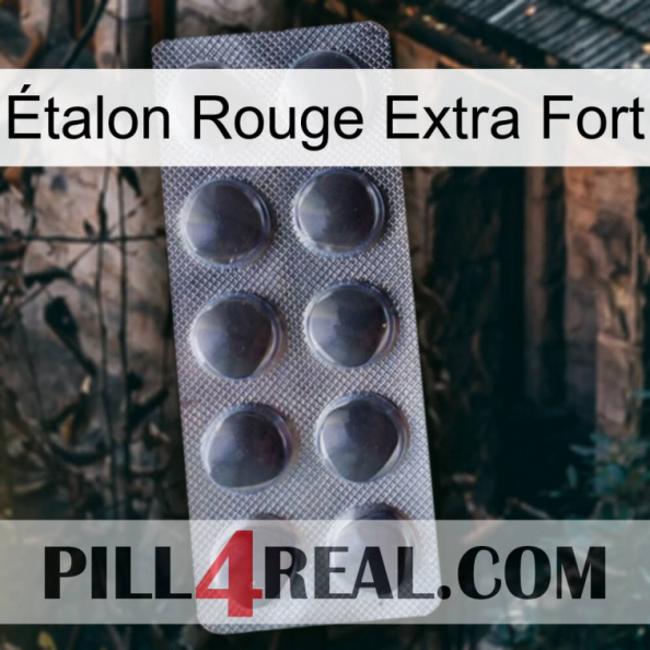 Étalon Rouge Extra Fort 30